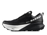 エナジー トレイル エンデュランス ウルトラ ロー ゴアテックス 